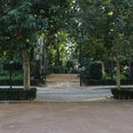Fabuloso Piso Junto A Paseo De La Bomba 그라나다 외부 사진