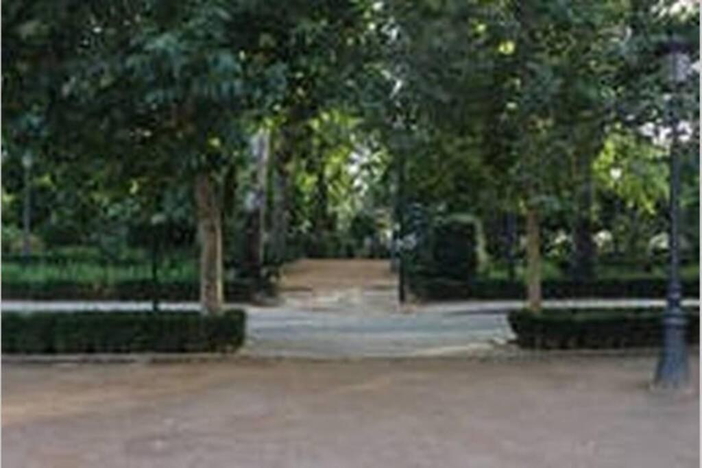 Fabuloso Piso Junto A Paseo De La Bomba 그라나다 외부 사진